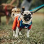 Como Fazer a Contabilidade de uma Loja de Roupas: Guia Completo