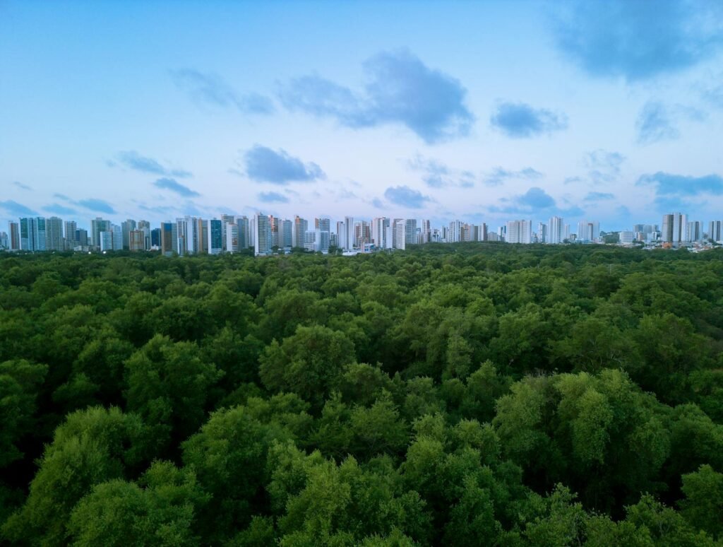 Para encontrar marcas de moda brasileira sustentável e ética, é essencial buscar empresas que priorizam a responsabilidade so