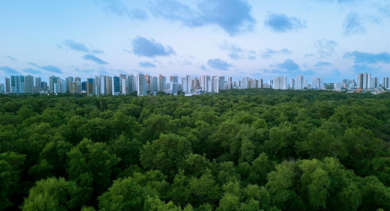 Para encontrar marcas de moda brasileira sustentável e ética, é essencial buscar empresas que priorizam a responsabilidade so