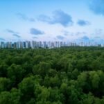 Upcycling na Moda: O Guia Definitivo para Transformar Roupas Velhas e Renovar Seu Estilo Sustentável