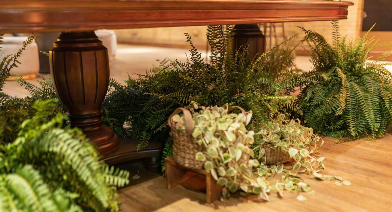 Plantas que Combinam com Decoração de Interior: O Guia Definitivo para um Lar Mais Vivo e Elegante — plantas que combinam com