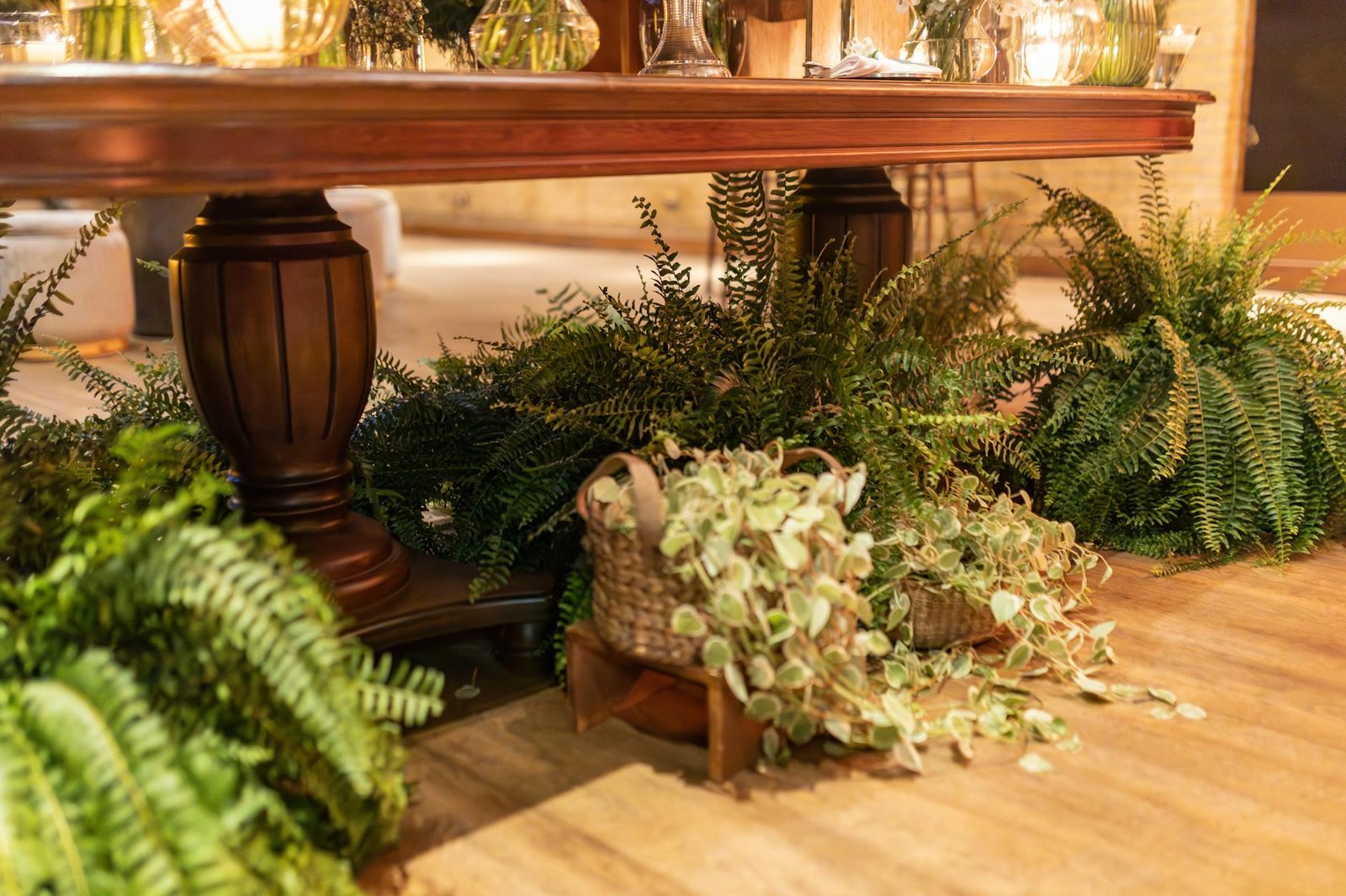 Plantas que Combinam com Decoração de Interior: O Guia Definitivo para um Lar Mais Vivo e Elegante — plantas que combinam com